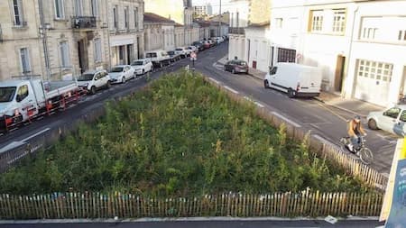 Wangari Muta Maathai, la première micro-forêt de Bordeaux 