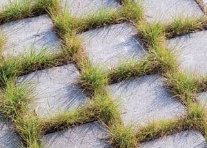 Pavés drainants ou à joints élargis