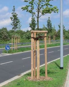 Système d’ancrage de l’arbre