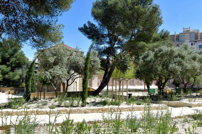 Le Parc des Soeurs franciscaines à Marseille : patrimoine de fraîcheur